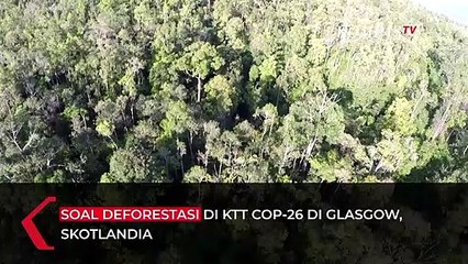 Greenpeace Indonesia Dipolisikan usai Kritisi Pidato Presiden Jokowi