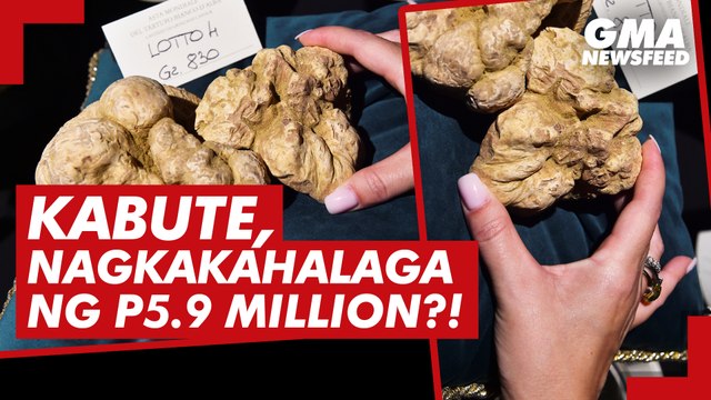 Kabute, nagkakahalaga ng P5.9 Million?! | GMA News Feed