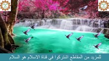 ام المساكين