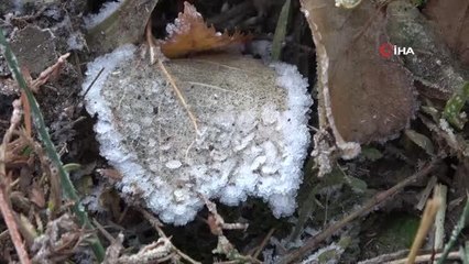 Ardahan'da soğuk hava etkili oluyor