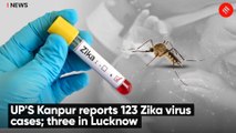 UP'S Kanpur reports 123 Zika virus cases; three in Lucknow