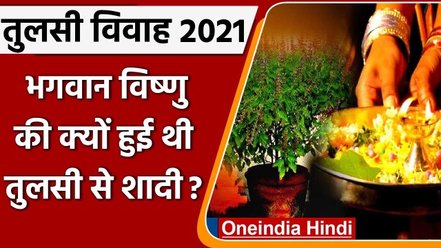 Tulsi vivah 2021: तुलसी विवाह आज, जानें पूजा का शुभ मुहूर्त, महत्व और कथा | वनइंडिया हिंदी