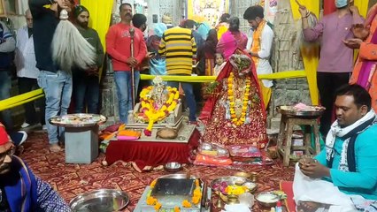 देव प्रबोधिनी एकादशी पर हुआ तुलसी व‍िवाह