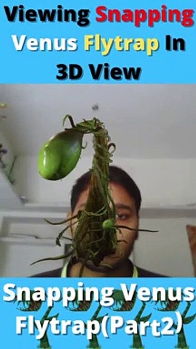 Viewing Snapping Venus Flytrap(Part2) In 3D View