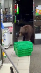 Una vendedora entra en pánico cuando un cliente especial entra en la tienda !