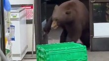 Una vendedora entra en pánico cuando un cliente especial entra en la tienda !