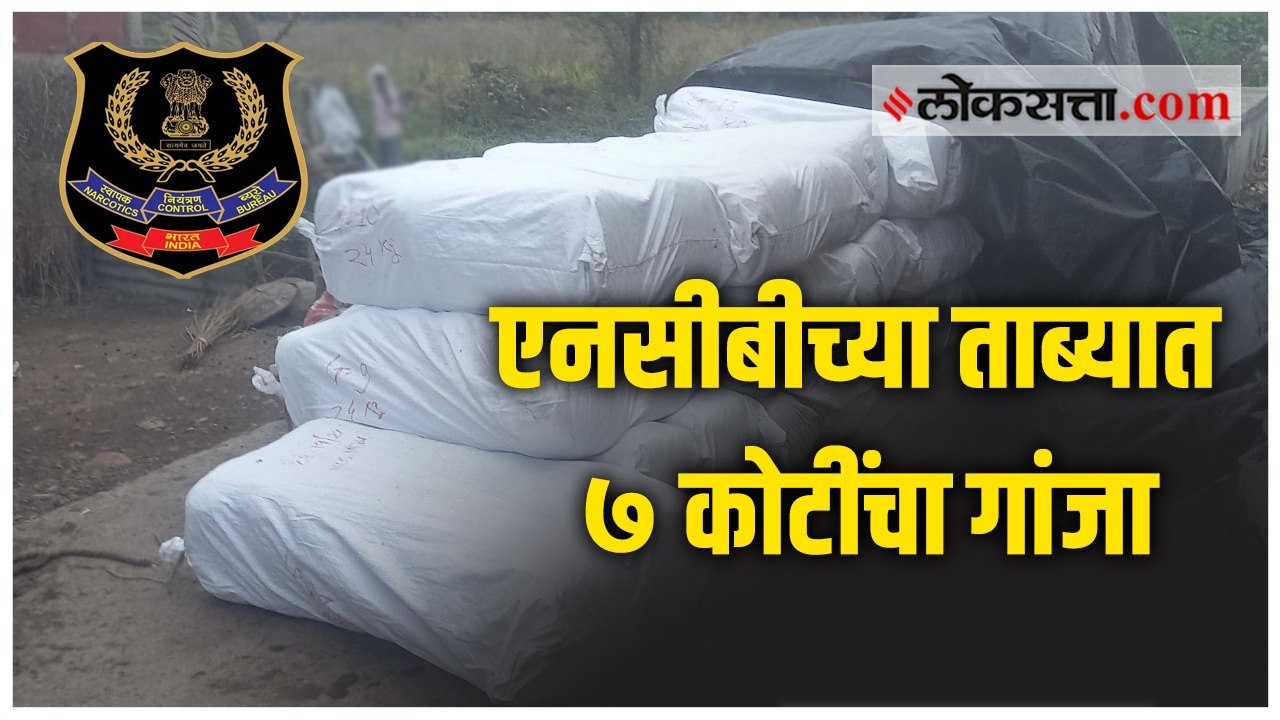 नांदेडमध्ये एनसीबीची मोठी कारवाई; १३ क्विंटल गांजा जप्त