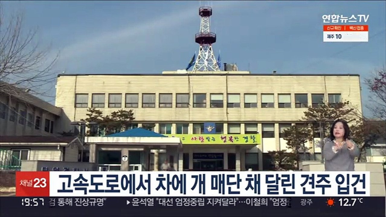고속도로에서 차에 개 매단 채 달린 견주 입건