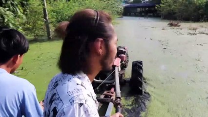 อ่างทอง ทุกข์ชาวสวนมะม่วงหลังนกปากห่างบุกยึดต้นมะม่วงเป็นที่อยู่อาศัยภายในสวนมะม่วงพื้นที่กว่า100ไร่มานานหลายปี