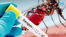 Delhi adds 2,569 dengue cases, highest since 2015 outbreak