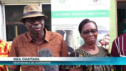 Filière hévéa - palmier à huile : le conseil hévéa palmier à huile à la rencontre des acteurs