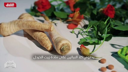 ...حلق منتشرة بين الناس . وغالبا ما يصف الأ...