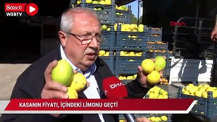 Kasanın fiyatı, içindeki limonu geçti