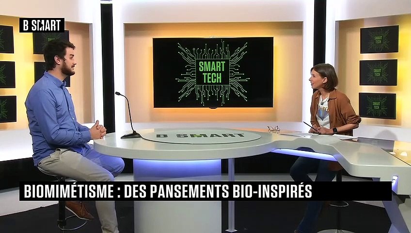 Biomimétisme : des pansements bio-inspirés 
