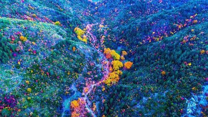 SPİL DAĞI'NDAN SONBAHAR MANZARALARI