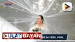 Prenup ng solo bride sa Cebu, viral sa social media; Solo bride, laging sawi sa pag-ibig kaya nag-prenup para matupad ang pangarap na magsuot ng wedding gown