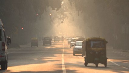 Air pollution causes schools to close in India