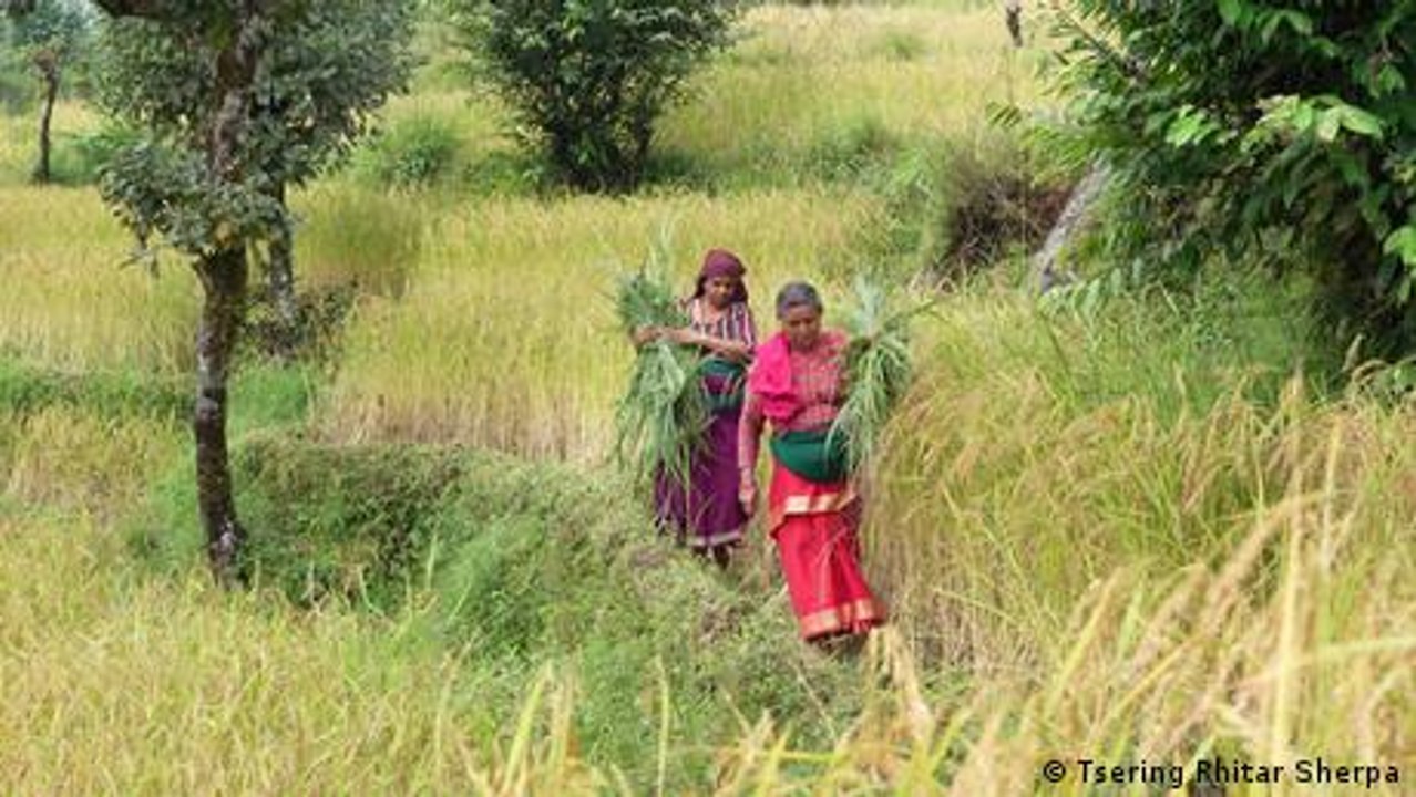 Nepal: Klima vor Korruption schützen