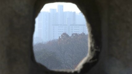 [뉴스나이트] "58m 나무로 가려라?...'왕릉 아파트' 현실적 해결 방안은? / YTN