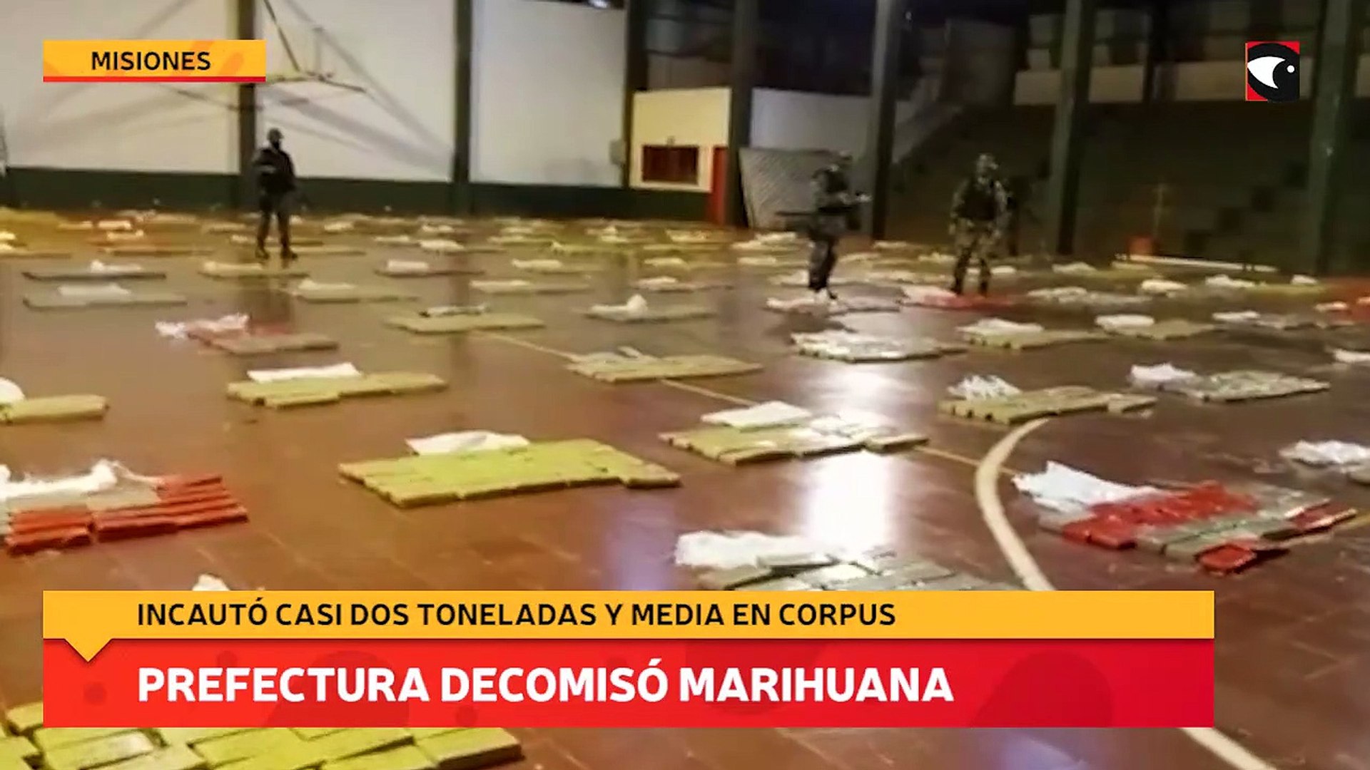 ⁣Prefectura decomisó cannabis sativa