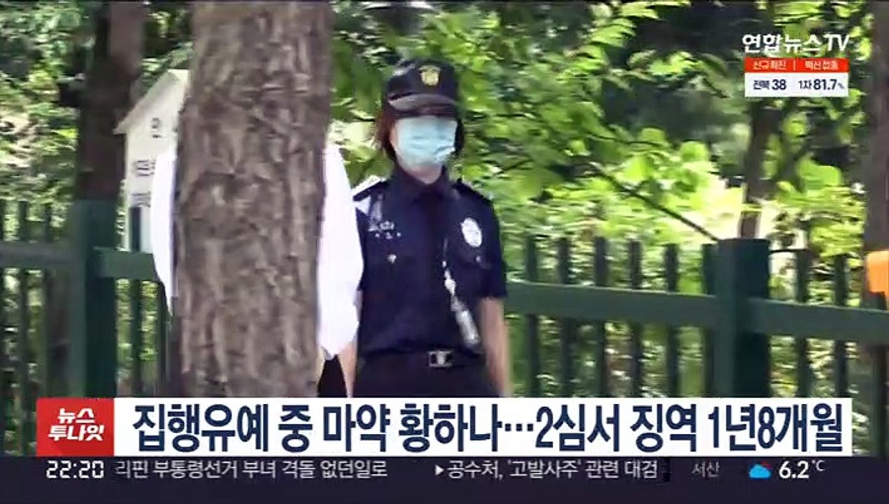 집행유예 중 마약 황하나…2심서 징역 1년8개월