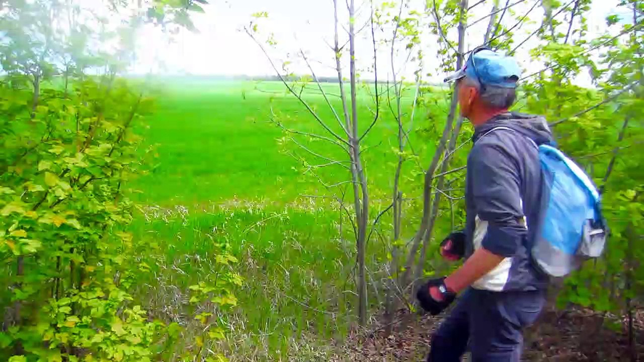 Донец возле Великого Суходола