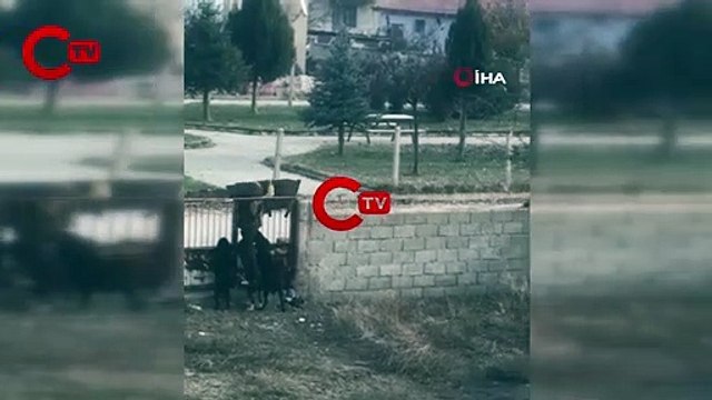 Küçük çocuğun köpek sevgisi görenlerin içini ısıttı