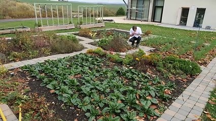 Dans le restaurant de Loïc Villemin, gastronomie 100% locale et zéro déchet