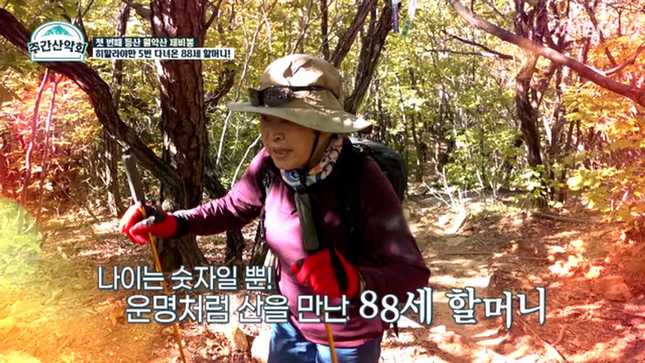 미친 등산 경력! 히말라야만 5번 갔다 온 88세 할머니
