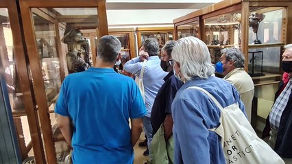 Experiencia National: visita al Museo Anatómico de la Universidad Complutense