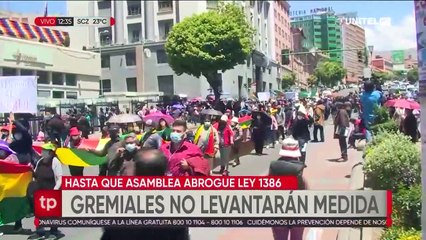 Los gremialistas regresarán a vender una vez se p`romulgue la ley