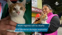 Localizan a Max, un gatito extraviado tras explosión en colonia Pensil