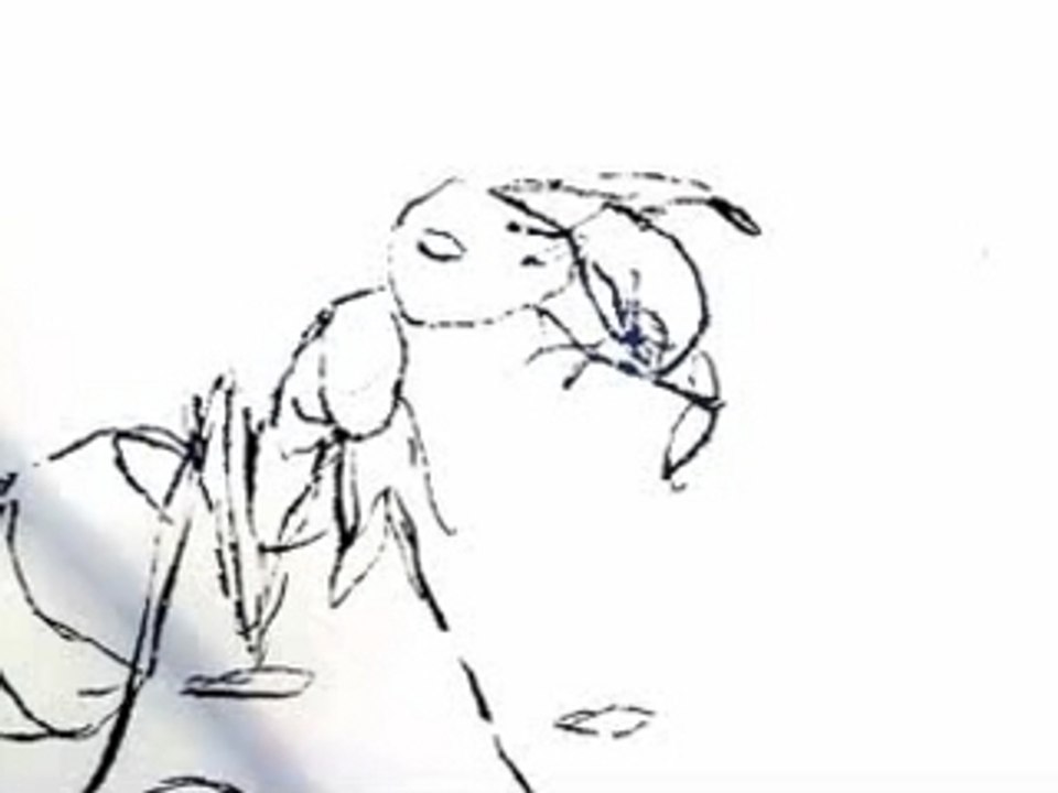 Le dessin fourmille