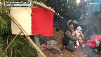 Crisi dei migranti al confine polacco-bielorusso: esplosione di visti e voli dal Medioriente