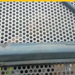 Graduación en la frontera