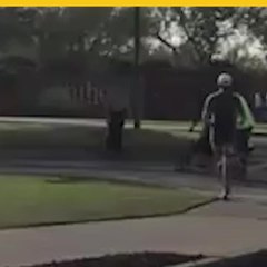 Lince rabioso ataca a dos hombres y un perro en Arizona.mp4