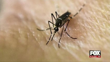 Hidalgo county identifies its first local ZIKA virus infection