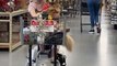 People React to Adorable Doggy Riding Shopping Kart With Owner at Store During Christmas Shopping