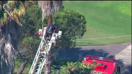 Bomberos realizan un rescate de altura en San Diego