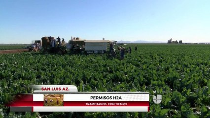 Recomiendan obtener con tiempo permisos H2A