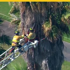 Bomberos realizan un rescate de altura en San Diego