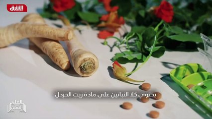 ...الكابوسي ن والفجل مع مضاد حيوي تقليدي . ...