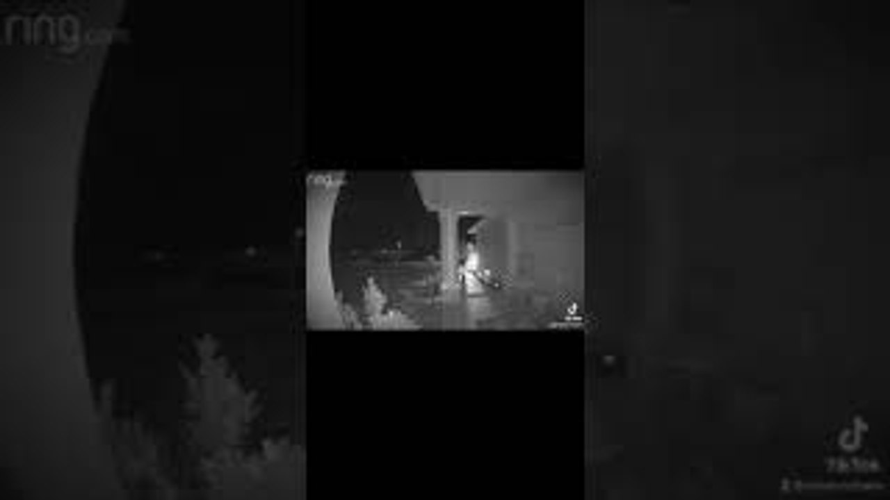 Delivery Guy Frightened by Frog