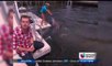 Terápia con delfines para personas discapacitadas