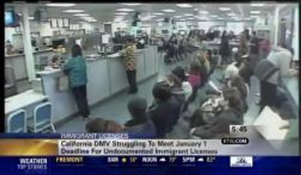 Undocumented Worker Driver's License