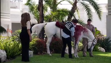 CSI Vegas 1x07 Clip from Season 1 Episode 7 - In the Blood