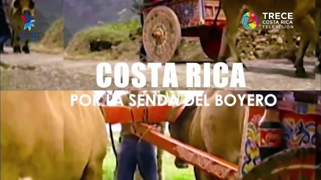 Buena Vida - El cannabis como tratamiento médico ¿cómo funciona?