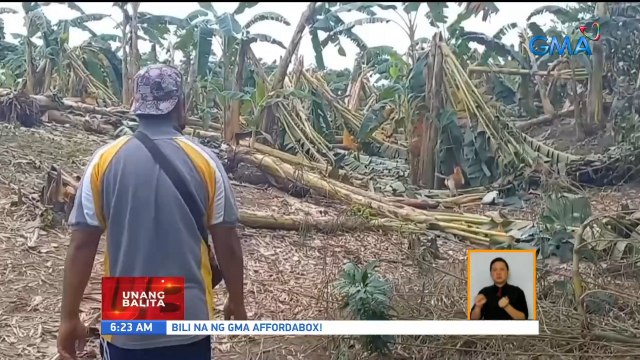 38 na bahay at ilang plantasyon, nasira sa pananalasa ng buhawi | UB