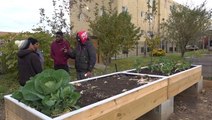 Howard University student leaves green thumbprint on community garden