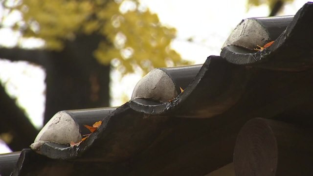 [날씨] 오늘 맑고 선선...수능일, 입시 추위 없어 / YTN